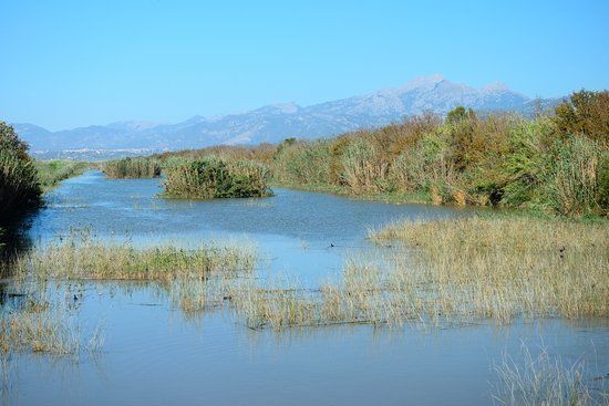 Naturpark S'Albufera de Mallorca
